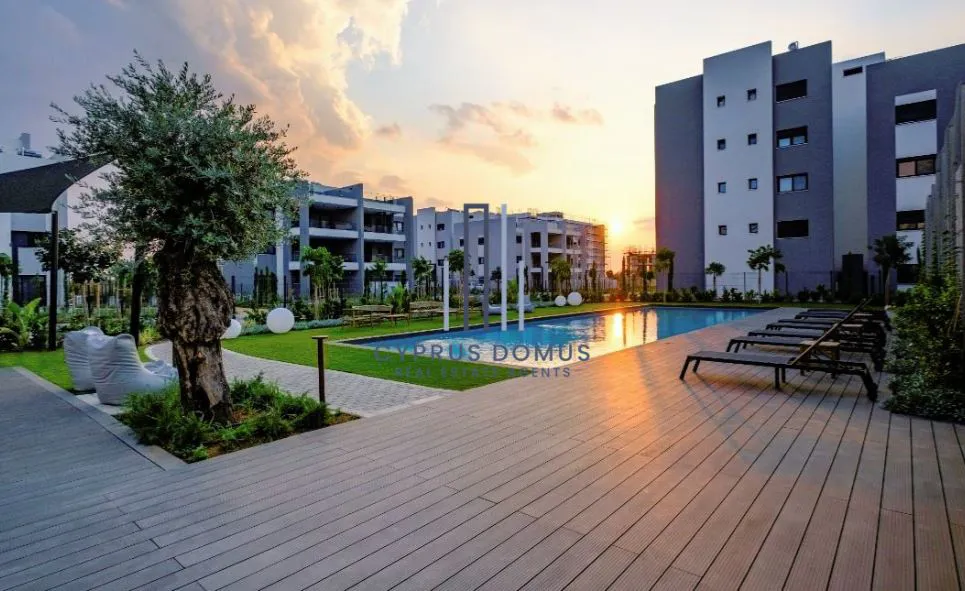 photo of this apartment